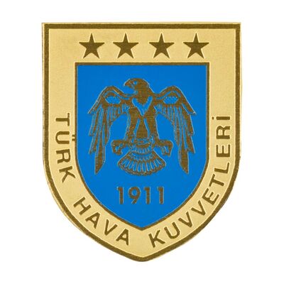 Gold-Mavi Hava Kuvvetleri Mini Cüzdan Rozeti - 4