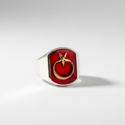 Sade Ay Yıldızlı (Sonsuzluk Mührü) 925 Ayar Gümüş Yüzük - 3