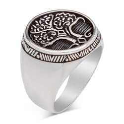 Yaşamın Kökleri Temalı Gümüş Erkek Yüzük - Anı Yüzük